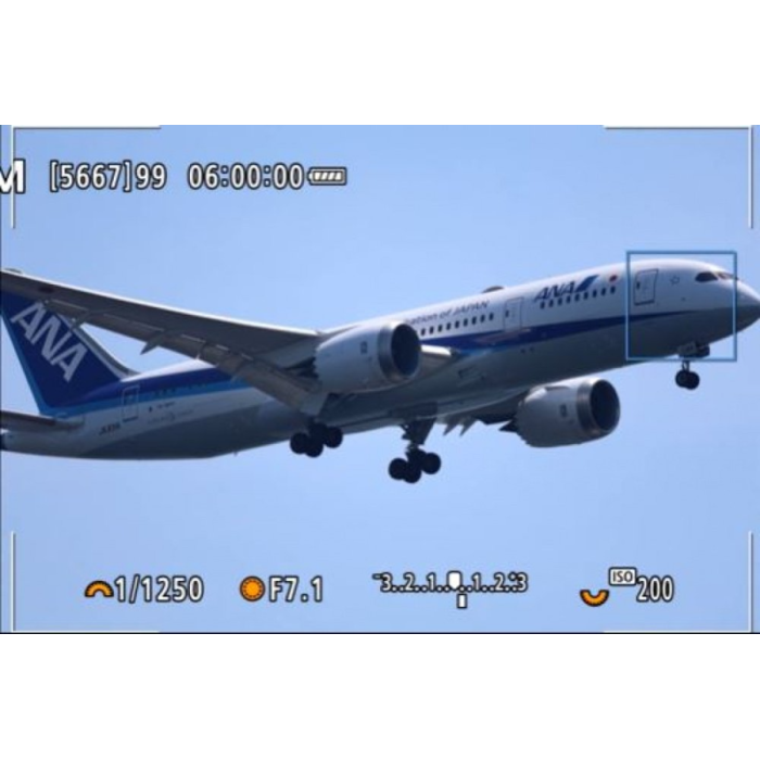 Фотоаппарат CANON EOS R6 Mark II Body (5666C031)