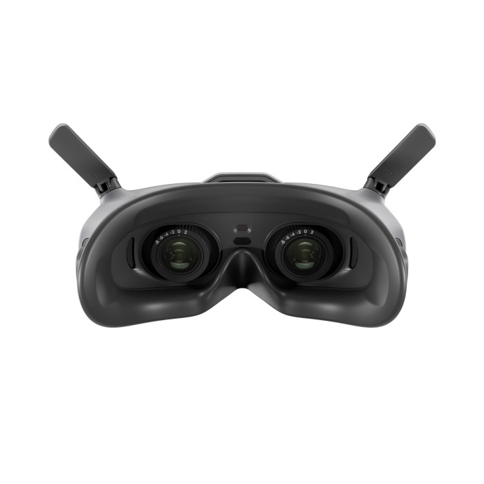 FPV очки DJI Goggles 2
