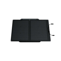 EcoFlow 60W Solar Panel