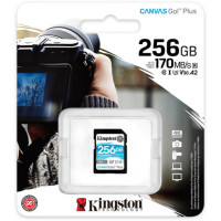 Kingston SD 256GB Canvas Go! Plus