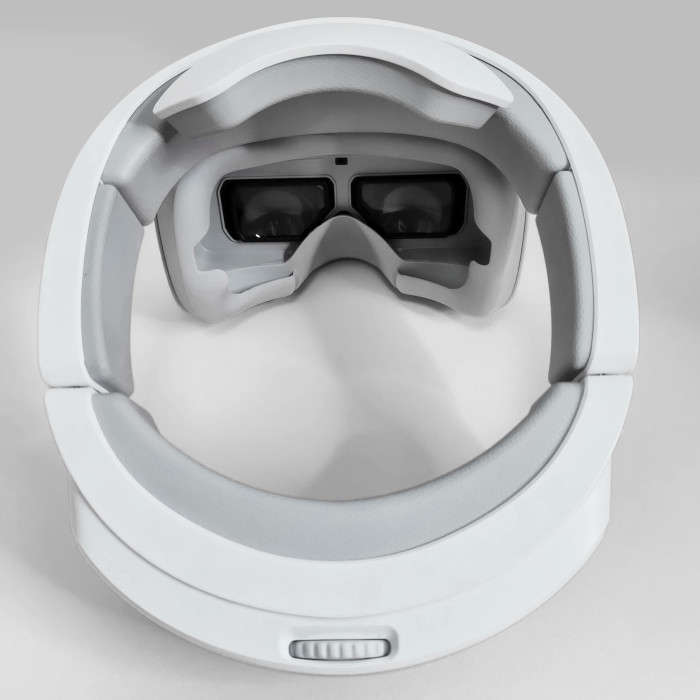 DJI Goggles