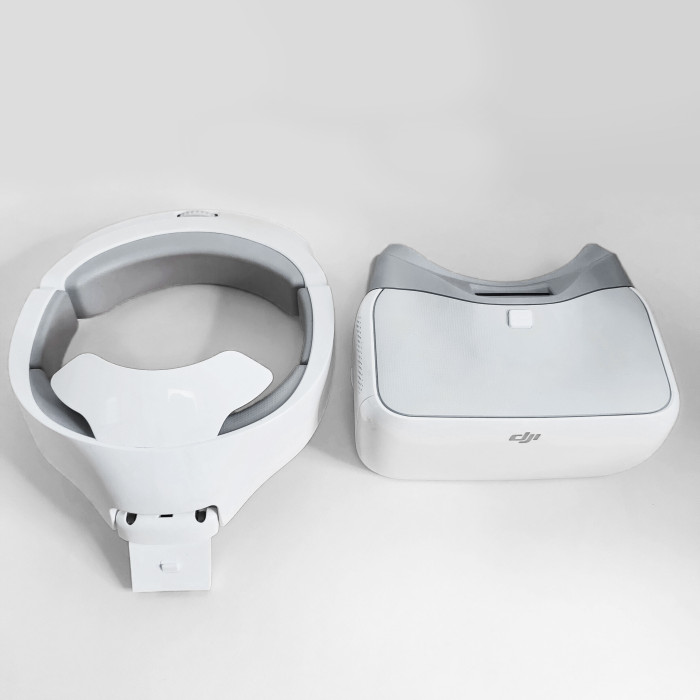 DJI Goggles