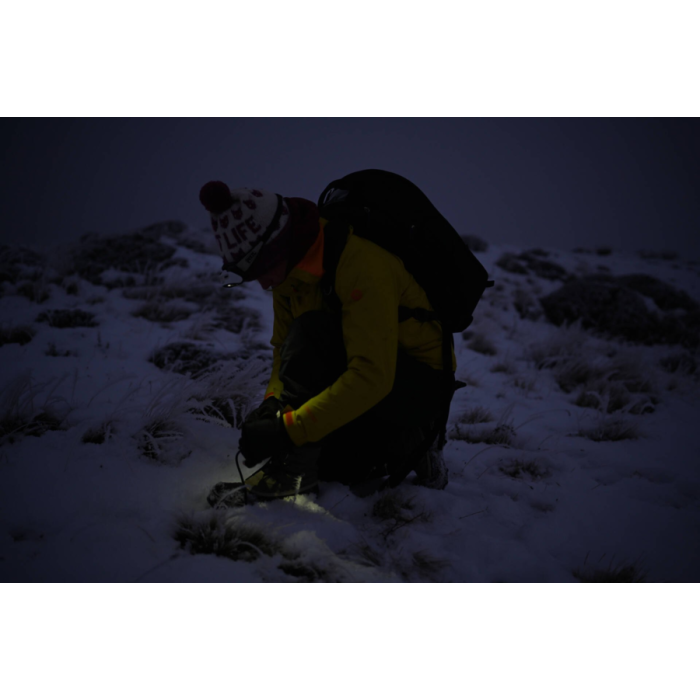 Camera Nikon Z7 Body (VOA010AE)