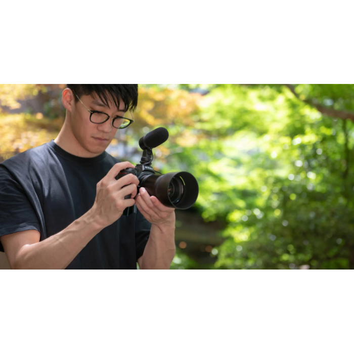 Фотоаппарат Nikon Z5 Body (VOA040AE)