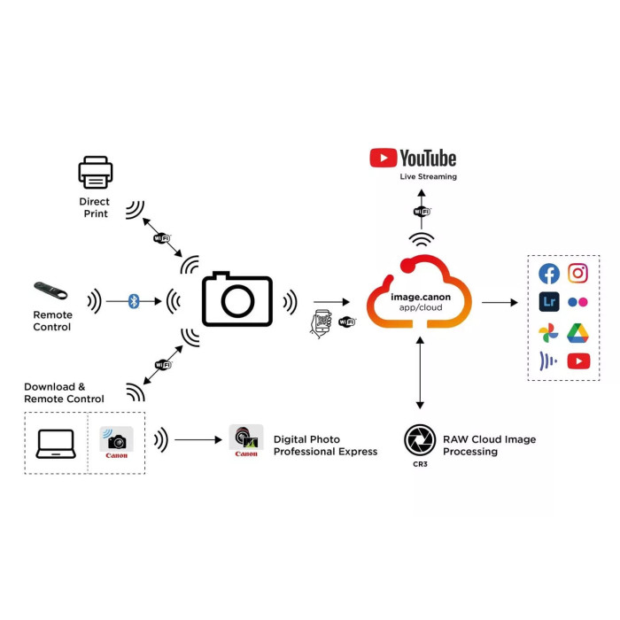 Canon Цифровая фотокамера EOS R8+RF 24-50mm f/4.5-6.3 IS STM