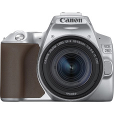 Canon Цифровая фотокамера зеркальная EOS 250D kit 18-55 IS STM Silver