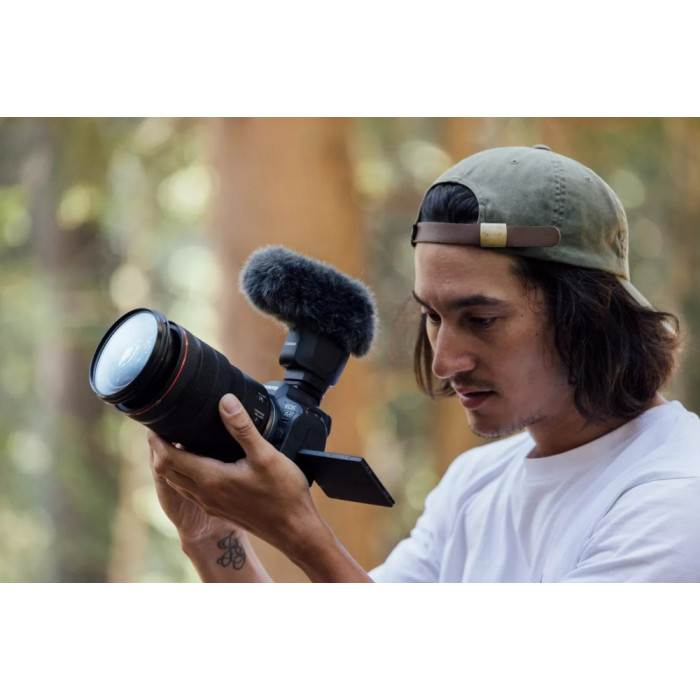 Canon Цифровая фотокамера EOS R6 Mark II + RF 24-105 f/4.0 L IS