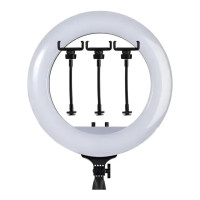 Кольцевая LED лампа Fill Light RL-21 54cm