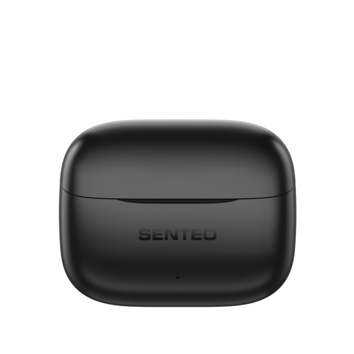 Беспроводные наушники SENTEO TWS Wind X True ANC+ENC