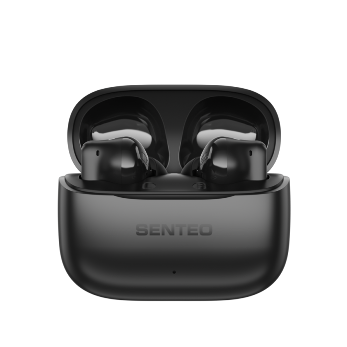 Беспроводные наушники SENTEO TWS Wind X True ANC+ENC