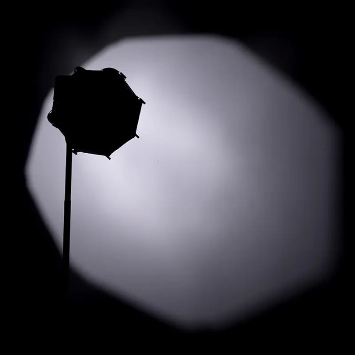 Софтбокс портативный Ulanzi AS-D30 30 см (L083GBB1)